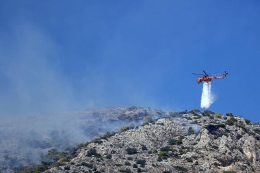 Yangın helikopteri yamaca yangın söndürür. Yunanistan. 
