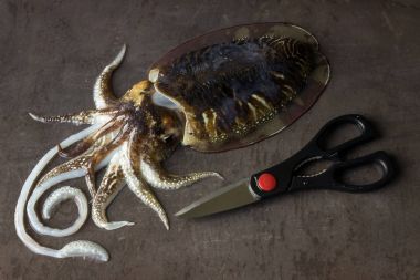 Delicious raw cuttlefish lies on the surface of a dark stone.  clipart