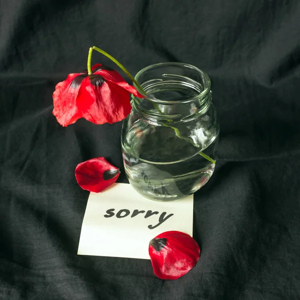 Una flor de amapola roja rota sobre fondo oscuro. Nota de disculpa-Lo siento —  Fotos de Stock