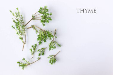 Kopya alanı metniniz için beyaz bir zemin üzerine taze kekik.