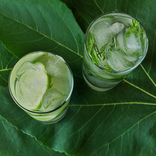Vaso de bebida carbonatada con rodajas de lima, cubitos de hielo y ramitas de romero sobre grandes hojas verdes . — Foto de Stock