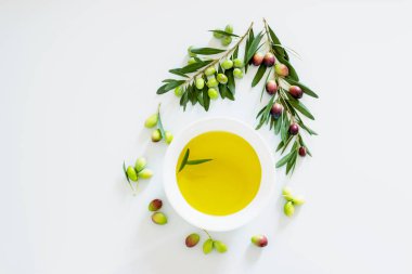  Hafif arka planda zeytinyağı ve zeytin yağı. Dal üzerinde olgun, koyu ve yeşil zeytinler. Boşluğu kopyala.