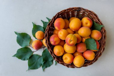 Taze hasır sepette parlak olgun kayısı aldı. Sağlıklı beslenme kavramı.