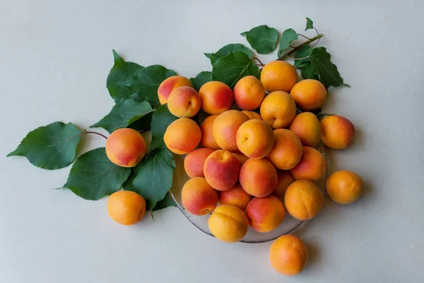 Vers Geplukt Heldere Rijpe Abrikozen Een Rieten Mand Het Concept — Stockfoto