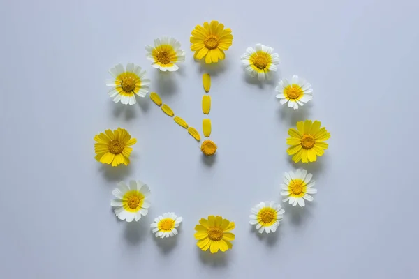 Reloj Flores Hecho Margaritas Blancas Amarillas Sobre Fondo Claro Concepto — Foto de Stock