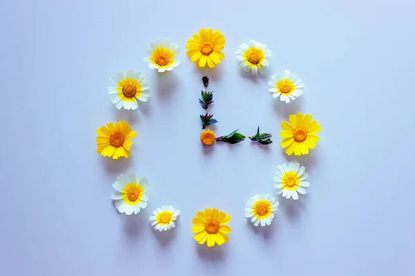 Virágóra Készült Fehér Sárga Százszorszépek Egy Könnyű Háttér Idő Koncepció — Stock Fotó