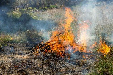   Kuru otları yakıyorum. Şiddetli rüzgârlı havadan dolayı çıkan yangın. Kavram: Ateşli dikkatsiz davranış, ekolojik felaket, doğal afet. Seçici odak.