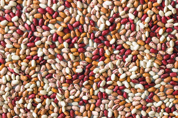 Phaseolus Fagioli Multicolori Lucenti Contesto Una Fonte Completa Proteine Vegetali — Foto Stock