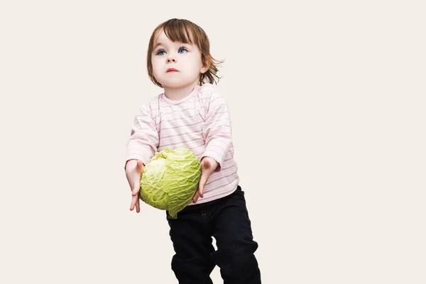 Маленькая девочка с голубыми глазами несет капусту в руках, изолированный назад — стоковое фото