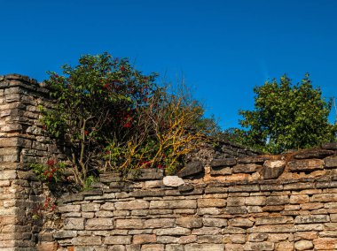 Üstte yeşil çalılar ile eski tuğla duvar