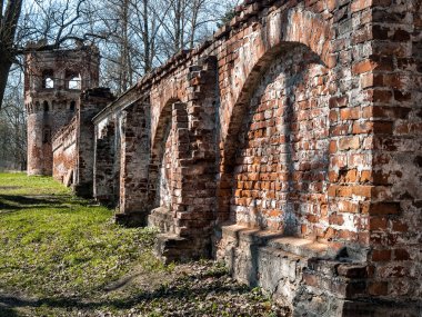 Tsarskoye mimari karmaşık Fedorovsky kasabada kalıntıları 