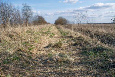 Geçen yılın çimleriyle kaplanmış, her iki tarafında çalılar olan ve baharın başlarında ufka açılan ıssız bir kırsal yol. Daha düşük bir açıdan çekilmiş.