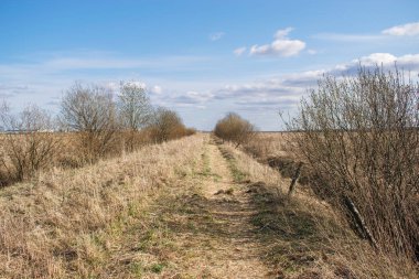 Kırsal yol geçen yılın çimlerini kaplıyor. Her iki tarafında yaprakları olmayan çalılar baharın başında ufukta duruyor.