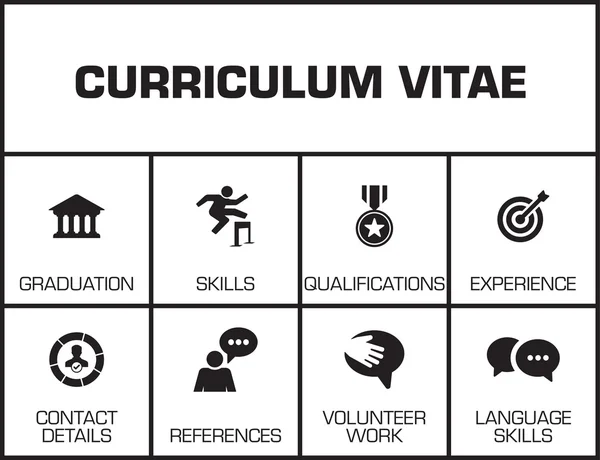 Curriculum Vitae. Diagram — Stock Vector