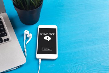 Bilgi üstünde perde-in aygıt