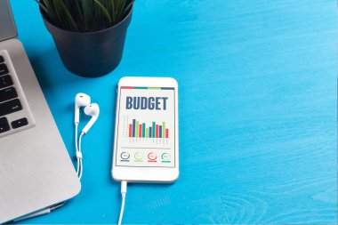 Konsept bütçe kelime ile