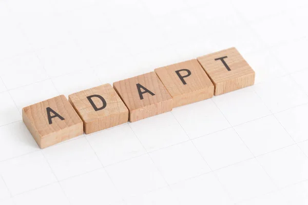 ADAPT word CONCEPT — Stock Photo, Image