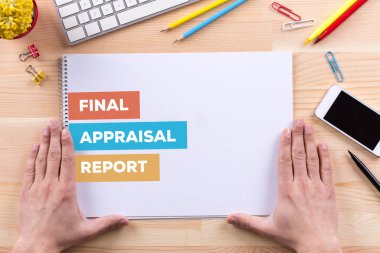 Son değerlendirme raporu kavramı