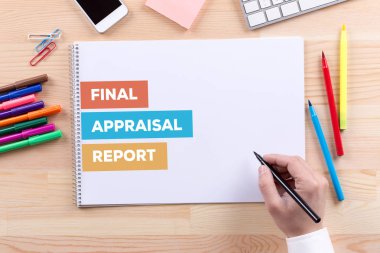 Son değerlendirme raporu kavramı