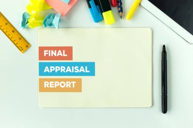 Son değerlendirme raporu kavramı