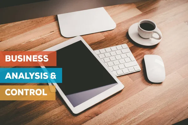 BUSINESS ANALYSIS & CONTROL CONCEPT — Stock Photo, Image