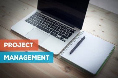 Proje yönetimi kavramı