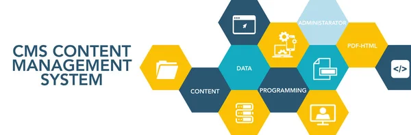 Concept d'icône de système de gestion de contenu CMS — Image vectorielle