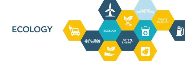 Conceito de ícone de ecologia —  Vetores de Stock