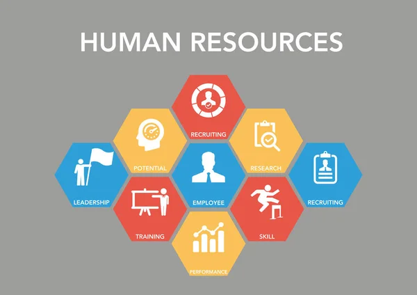 Human Resources Icon Concept — Stock Vector