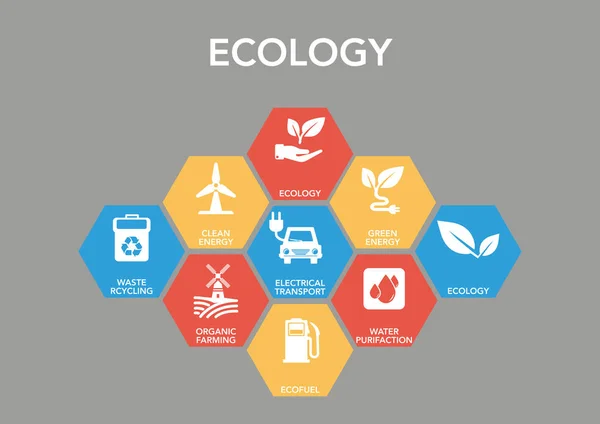 Conceito de ícone de ecologia —  Vetores de Stock