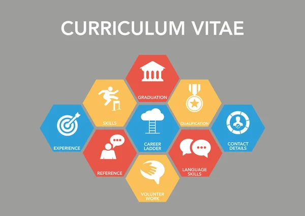 Curriculum Vitae Icône Concept — Image vectorielle