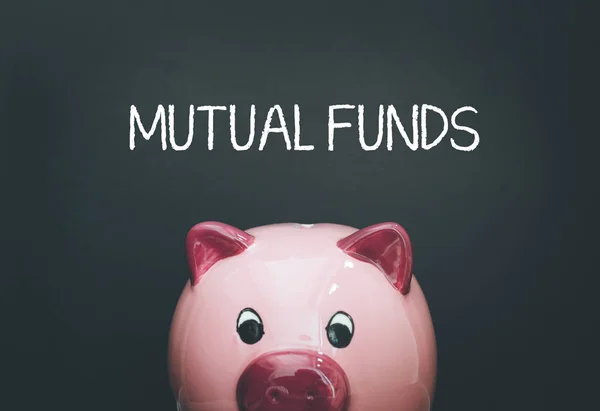 Conceito dos fundos mutualistas — Fotografia de Stock