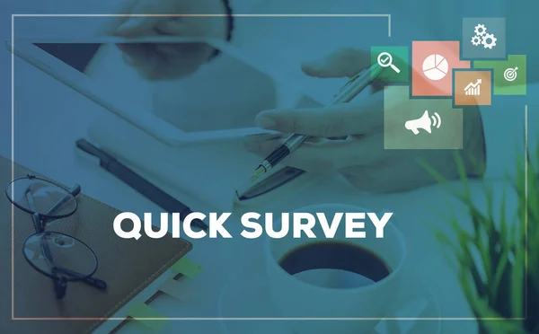 QUICK SURVEY CONCEPT — Stock Photo, Image