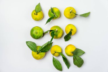 Açık Mavi Arkaplanda Yaprakları Olan Lezzetli Taze Mandalinalar Üst Görünüm Deseni Yatay