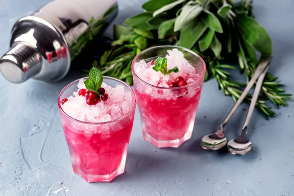 Twee glazen Cocktail met Cranberry Vodka Mint Blauwe achtergrond Koude Zomer Drankje Shaker — Stockfoto