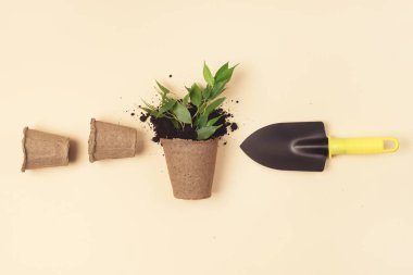 Bahçe Aletleri Bahçe Aletleri Bahçe veya Yaz Konsepti Sarı Eldiven Bahçesi Kürek ve İplik Sarı Arkaplan Üst Görünümünde Yatar