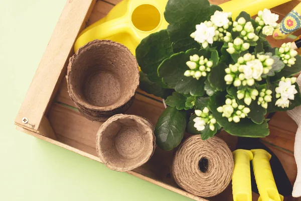 Wooden Box with Garden Tools and Flower in a Pot Small Pots Threads Garden Gloves Yellow Watering Can Gardening Spring Concept Green Background Top View