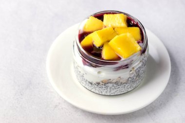 Hindistan cevizi mango chia tohumu pudingi sağlıklı vejetaryen diyet tatlı tatlısı yatay kopyalama alanı