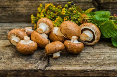 Kraliyet petrol ahşap arka plan üzerinde. Seçici odak. Yakın çekim