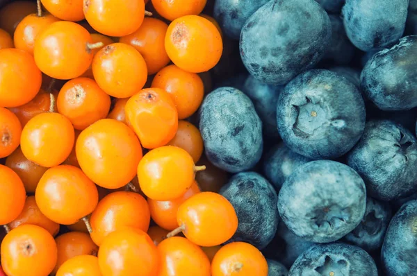 Background from sea-buckthorn berries and blueberries — Stock Photo, Image