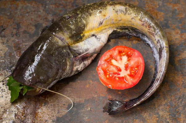 Poisson-chat cru sur une vieille table. Gros plan. Vue du dessus — Photo