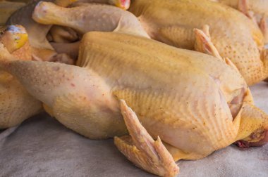 beyaz zemin üzerine çiğ tavuk