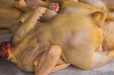 beyaz zemin üzerine çiğ tavuk