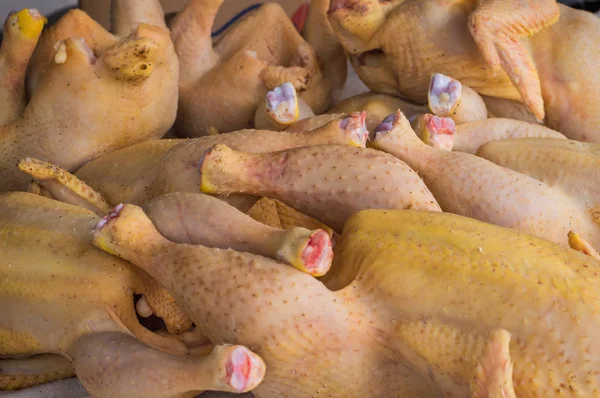 beyaz zemin üzerine çiğ tavuk