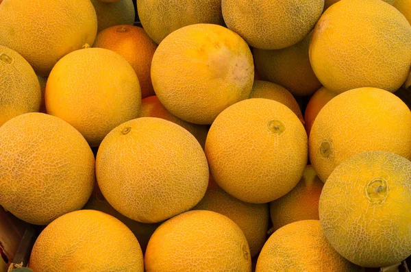 Cantaloupe meloenen op een markt. Bovenaanzicht. Close-up — Stockfoto