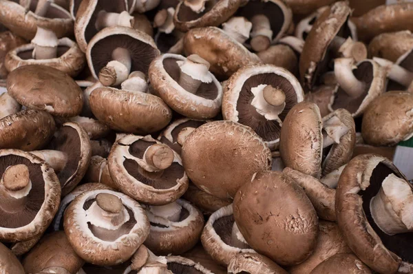 Čerstvé žampióny houby na trhu. Pohled shora. Detail — Stock fotografie