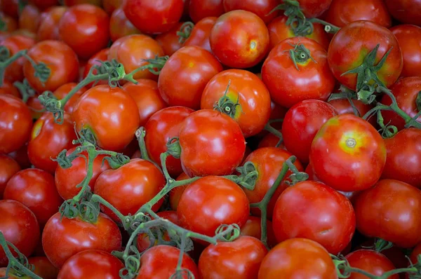 Свежие органические помидоры на открытом рынке. Вид сверху. Крупный план — стоковое фото
