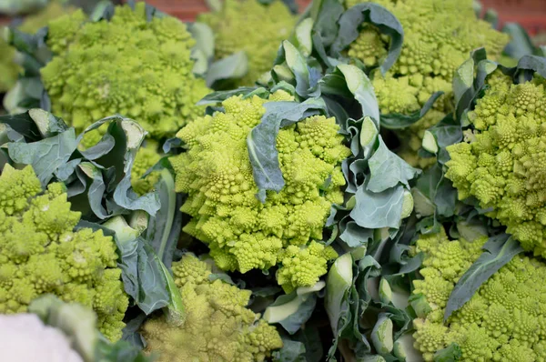 Broccoli proaspăt romanesco pe piață. Contextul agricol. Privire de sus. Close-up — Fotografie, imagine de stoc