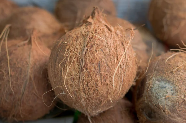 Kokosové ořechy k prodeji na trhu. Skupina malých čerstvých Brown. Zemědělství na pozadí. Pohled shora. Detail — Stock fotografie