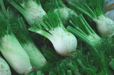 Rezene Ampüller çiftçilere piyasa üzerinde Satılık yeşil yaprakları ile. Vitamin dolu. Arka plan tarım. Yakın çekim. Üstten Görünüm